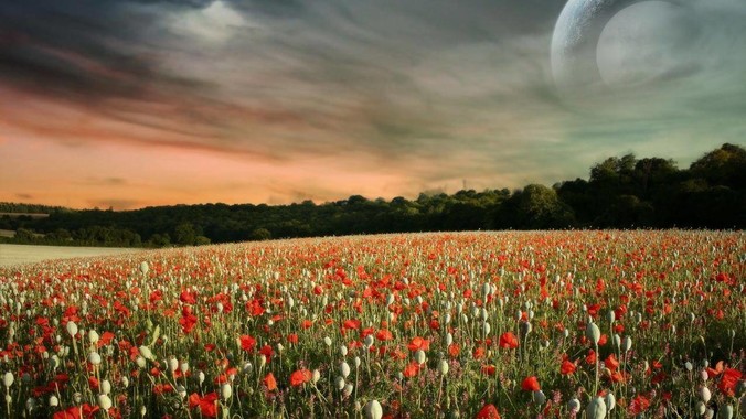 婆婆总说&ldquo;你妈也不教你&rdquo;，怎么回复？